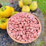 مغز باد‌ام زمینی محلی آستانه گیلان