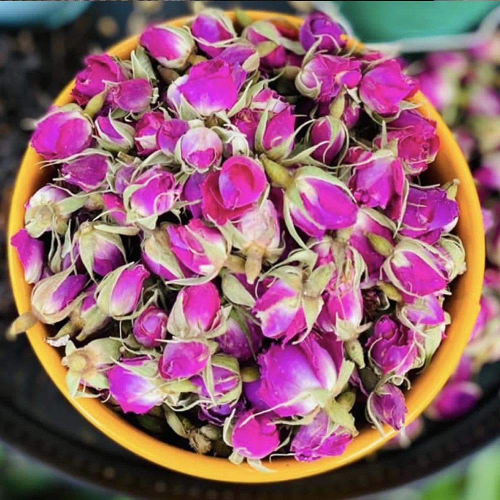 غنچه گل محمدی خشک – گیلان چای